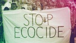 The planet can only be protected from short-sighted politics by criminalising ecocide