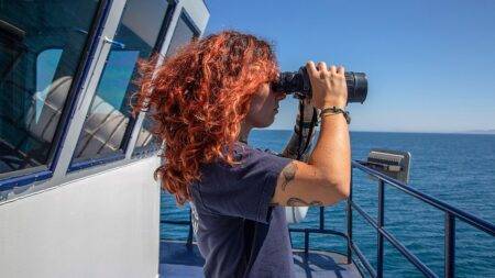 Meet the crew saving the world’s most endangered marine life off the coast of Mexico