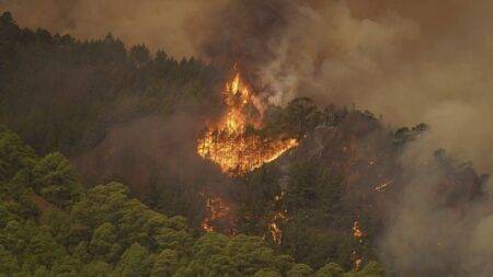 Out-of-control wildfire scorches Spain’s Tenerife island, affecting thousands