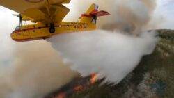 Extreme weather: Tenerife firefighters hope to have the island’s wildfires under control