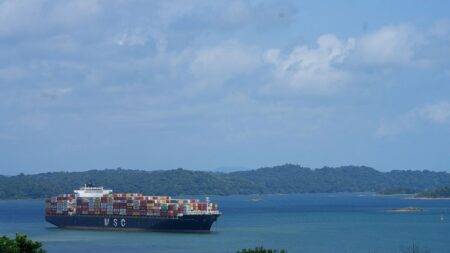 Panama Canal drought causes shipping backlog amid Christmas rush