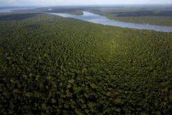 Amazon nations fall short of agreed goal to end deforestation