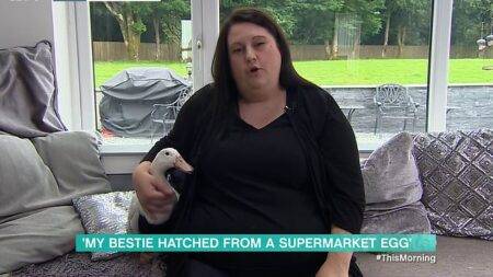 This Morning viewers in disbelief over woman who went to supermarket for eggs and came home with pet duck