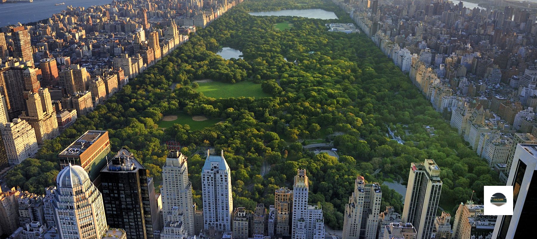 Everything you need to know about Central Park