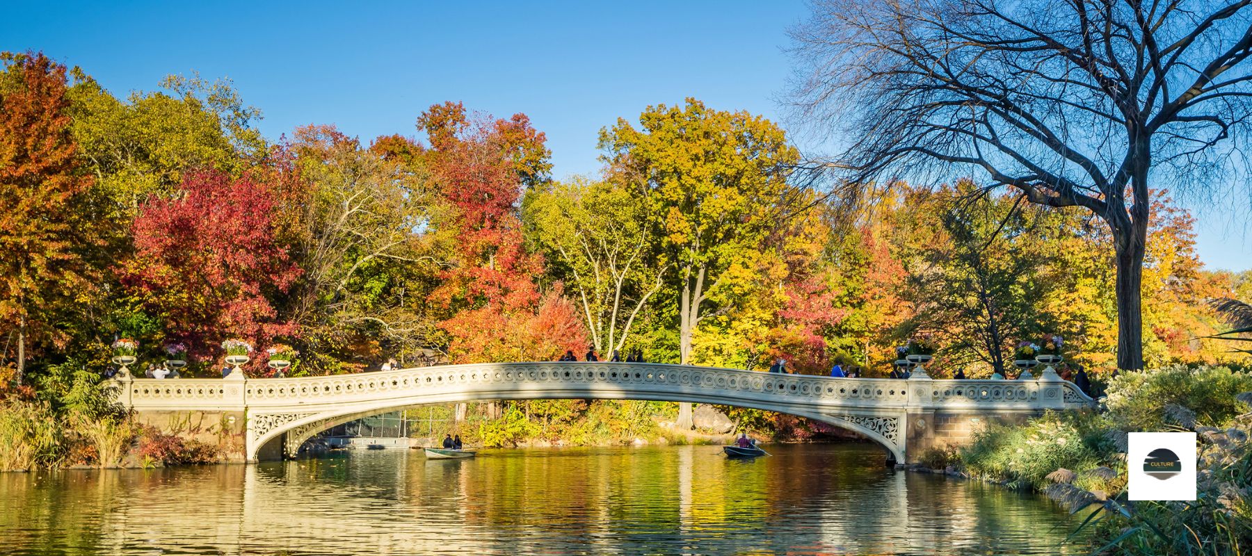 Everything you need to know about Central Park