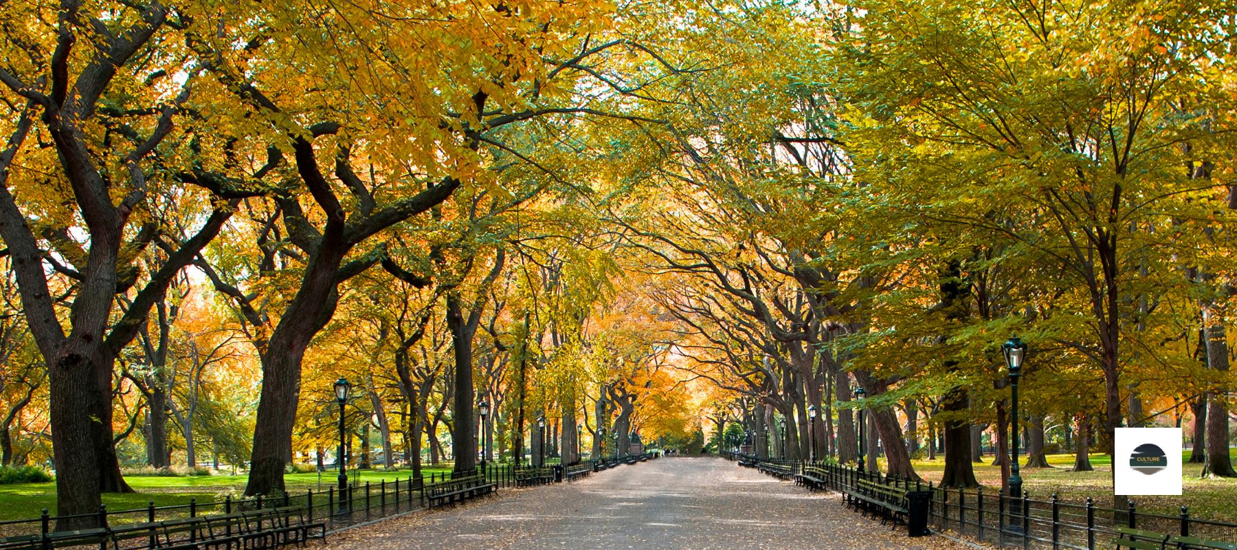 Everything you need to know about Central Park