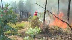 Wildifires in Europe: Hecters of land destroyed in Portugal, Spain