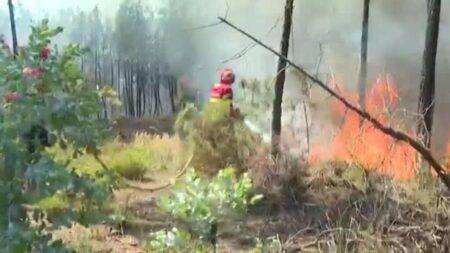 Wildifires in Europe: Hecters of land destroyed in Portugal, Spain