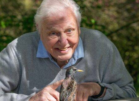 David Attenborough’s new series featuring a fish that rattled a town might be his maddest show to date