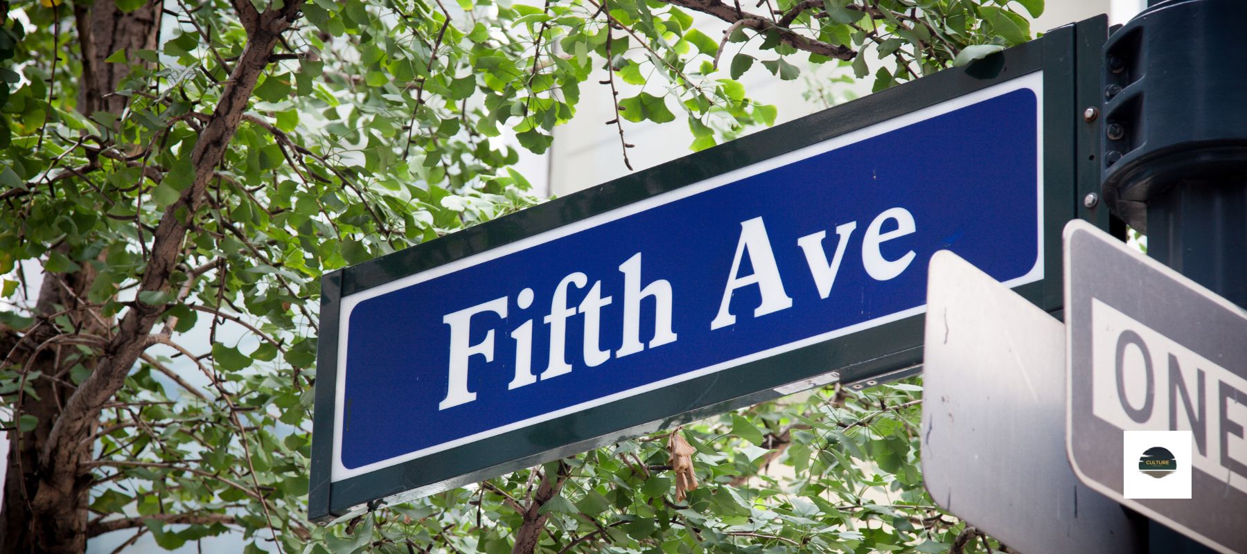 Everything to know about Fifth Avenue 