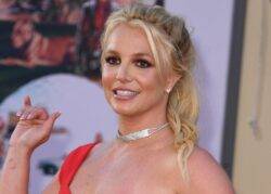 Britney Spears demonstrates enviable flexibility as she pole dances in leopard print underwear