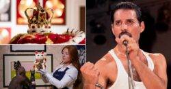 Freddie Mercury fans in tears as 1,400 of his possessions go on show ready for auction