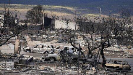 Hawaii’s warning sirens ‘failed to go off’ as it was hit by deadly ‘fire hurricanes’