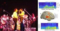 Scientists reconstruct Pink Floyd song from brain waves of person listening