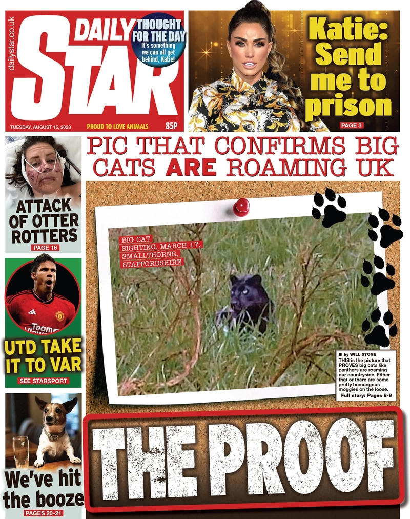 Daily Star - The proof 