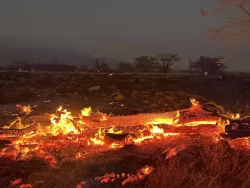 Hawaii fires: At least 53 dead and 1,000 missing as entire town ‘gone’