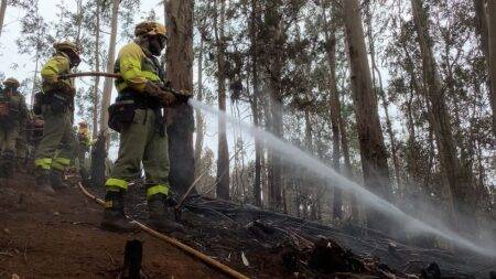 Wildfires in Tenerife: A paradise island stares out at an inferno