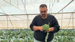 Libya and Jordan: How big a solution is hydroponics in two of the world’s driest countries?