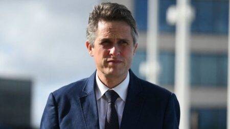 Gavin Williamson ordered to apologise over bullying texts to Wendy Morton