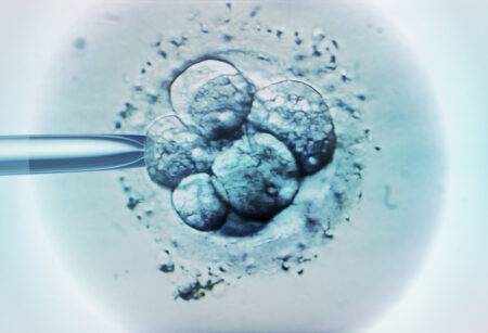 Scientists grow human embryo in a lab without sperm, egg or womb