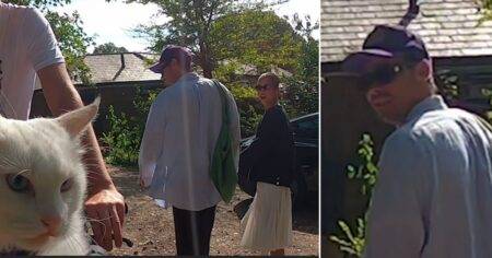 Harry Styles filmed on stroll with ‘girlfriend’ Taylor Russell by unsuspecting cyclist and his cat