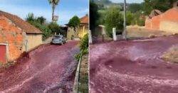 Accident at distillery sends 2,200,000 litres of red wine flowing through street