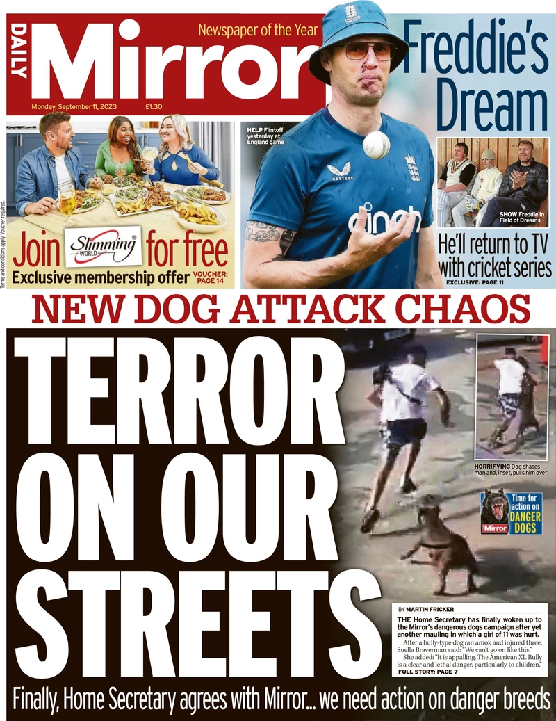 Daily Mirror - Terror on our streets