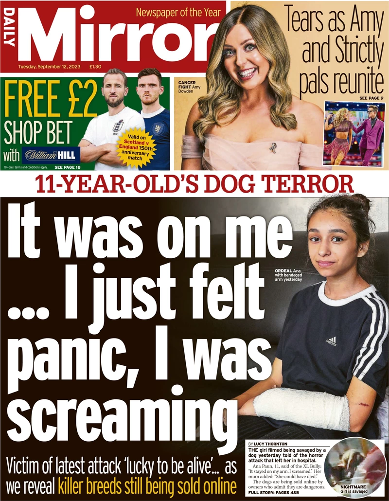 Daily Mirror - It was on me … I just felt panic, I was screaming