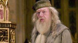 Harry Potter stars Daniel Radcliffe and Rupert Grint lead tributes as ‘brilliant’ Dumbledore actor Sir Michael Gambon dies aged 82