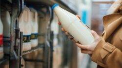Inflation: Milk, cheese and egg prices fall as petrol rises