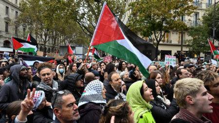 Thousands of demonstrators join banned pro-Palestinian march in Paris