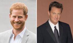 Prince Harry admitted he seems to fit Matthew Perry’s character Chandler in Friends