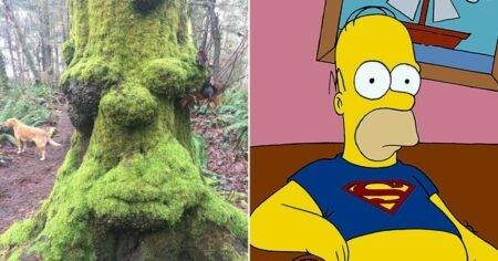 Woman spots the face of a famous cartoon character hidden in a tree