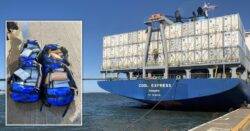 Cocaine worth £10,000,000 hidden underneath container ship carrying bananas
