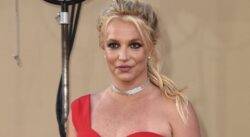 Britney Spears pulled over by police for driving without licence on her