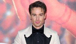 Liam Payne ‘spotted filming travel show’ after cancelling tour amid health scare