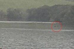 New picture shows ‘clearest picture of Loch Ness monster yet’