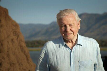 Sir David Attenborough’s beloved TV series ‘axed’ after two seasons