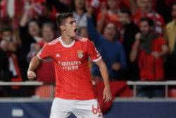 Manchester United prepared to activate £87m release clause to sign Antonio Silva with Benfica star ready to leave