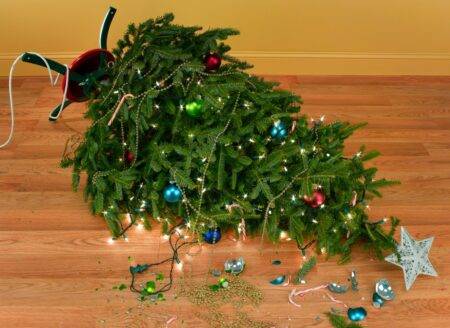 Putting up your tree before Christmas Day ruins the festive season