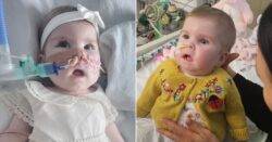 Baby Indi to be moved to hospital in Italy for treatment in ‘matter of hours’