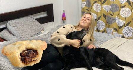 Mum’s warning after dogs scoffed plate of mince pies leaving her with £550 bill