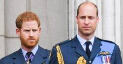 William’s friends blast ‘outrageous’ suggestion that he leaked details about Harry