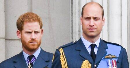 William’s friends blast ‘outrageous’ suggestion that he leaked details about Harry