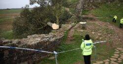 Hadrian’s Wall irreversibly damaged in mindless act of vandalism