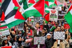Pro-Palestine protestors asked to ‘urgently reconsider’ Remembrance Day march