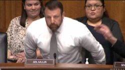 Moment lawmaker challenges witness to a physical fight mid-hearing