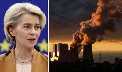 EU dealt crushing blow as damning report warns bloc ‘going wrong’ over key green targets