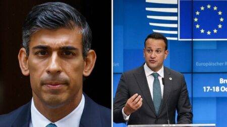 Rishi Sunak takes brutal swipe at Ireland after it makes ‘misguided’ decision