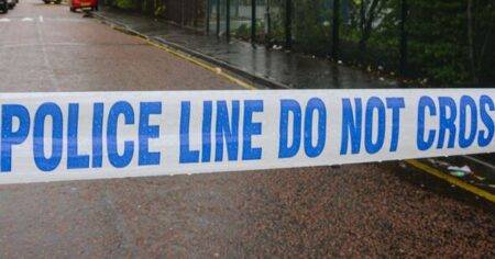 Murder investigation launched after man dies as car crashes into crowd